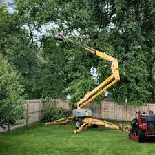 Best Storm Damage Tree Cleanup  in Great Falls, SC